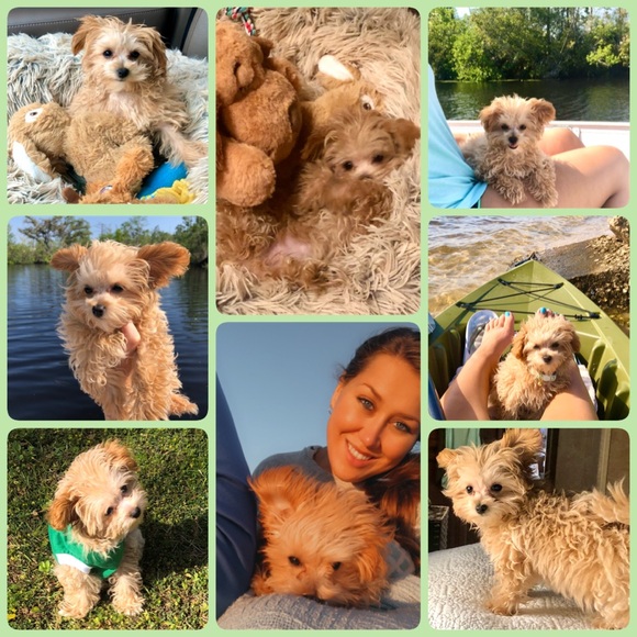 Meet your Posher, Jessica - Picture 14 of 14